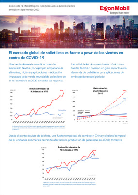 Informe de perspectivas del mercado de PE de ExxonMobil Septiembre de 2020 Descargue el informe hoy para mejorar su comprensión.