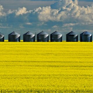 Agriculture fluids banner image