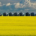 Agriculture fluids banner image