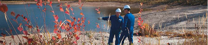 Biodegradable lubricants
