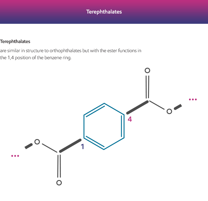 Orthophthalates therephthalates graphic English