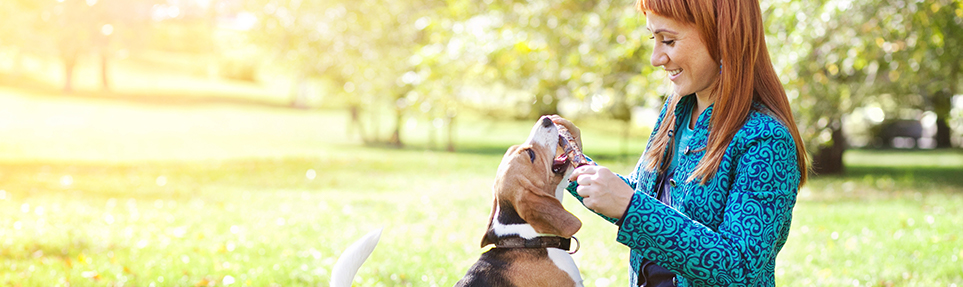 Plasticizers | ExxonMobil Product Solutions