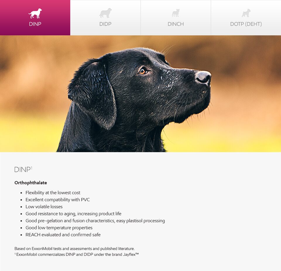 Plasticizers - meet companions - dog photo and graphic - English