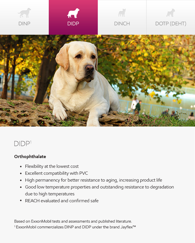 Plasticizers - meet companions - dog photo and graphic - English