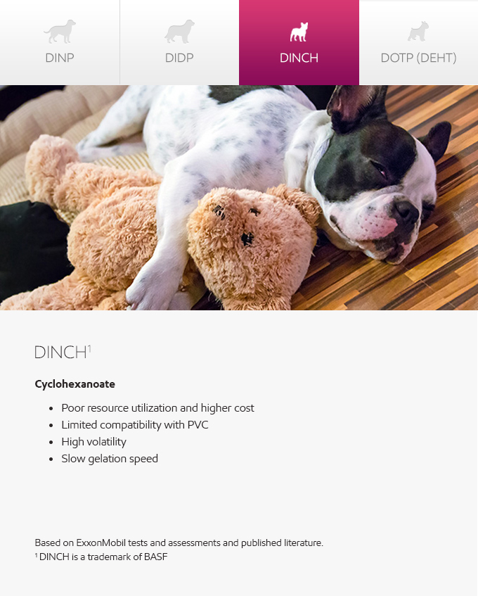 Plasticizers - meet companions - dog photo and graphic - English