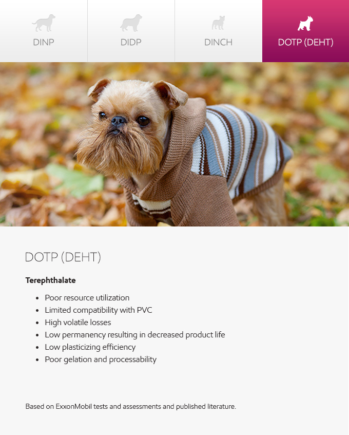 Plasticizers - meet companions - dog photo and graphic - English
