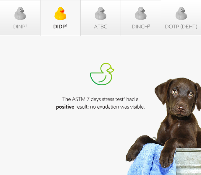 Plasticizers squeak-or-leak brown dog in bucket photo - English