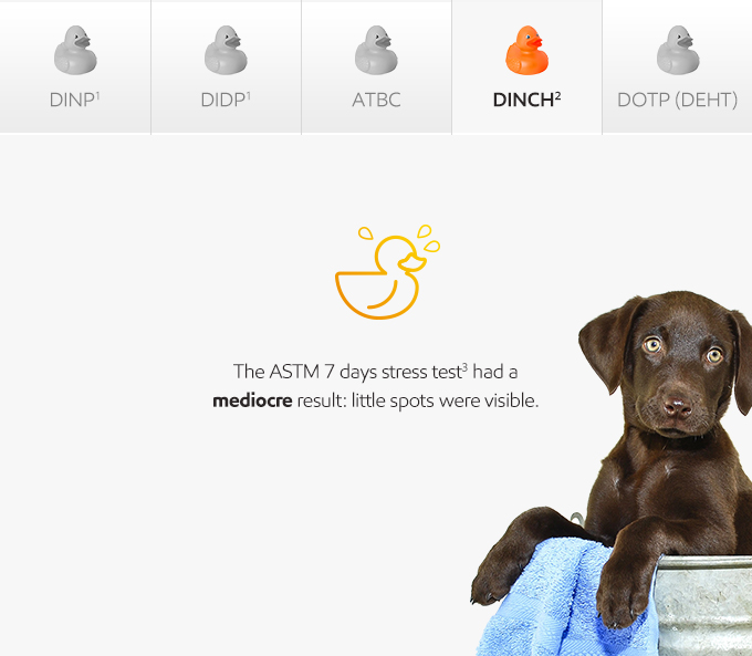 Plasticizers squeak-or-leak brown dog in bucket photo - English