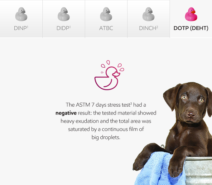 Plasticizers squeak-or-leak brown dog in bucket photo - English