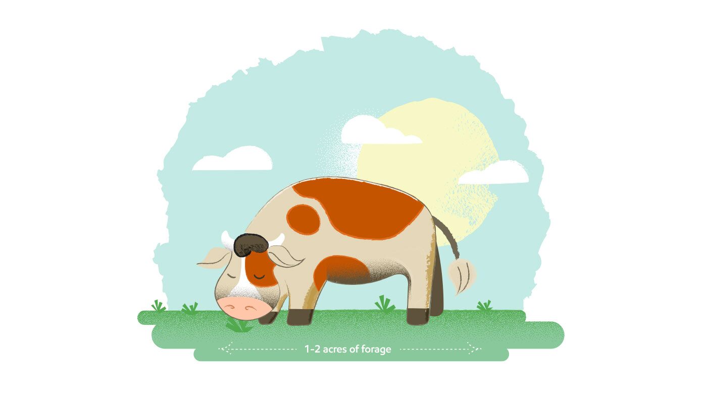 Cartoon cow in field