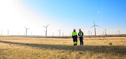 engineers in wind farm field