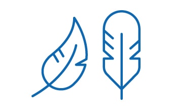 two feather