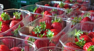rigid food packaging with strawberries
