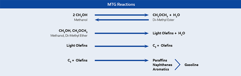 MTG reactions