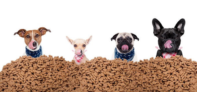 Plasticel pet food pouches with 4 dogs are licking their mouths